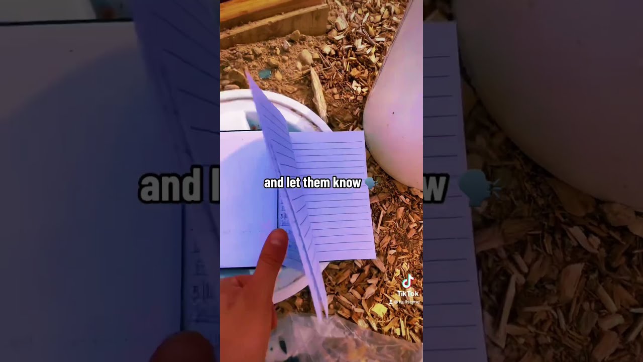What If There Is No Geocaching Logbook Let The Cache Owner Know It Needs To Be Replaced 