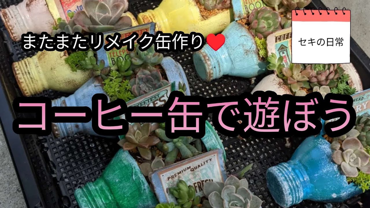 リメイク作家さんリメイク缶 🌵プラチーノ 🌵リメイク缶 / アップサイクル / 多肉植物鉢