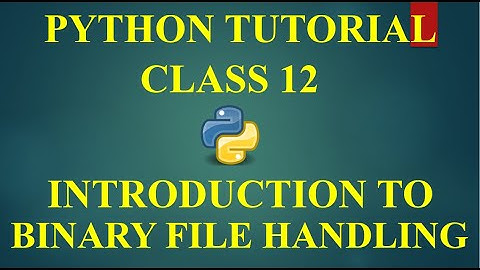 CS WITH NS || INTRODUCTION TO BINARY FILE HANDLING || COMPUTER SCIENCE WITH PYTHON || CLASS 12 CBSE