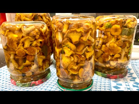 Видео: Как да готвя мариновани лисички