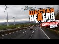 #19 Голландско-Немецкие круги | Немцы не выгружают | Шестая неделя каденции