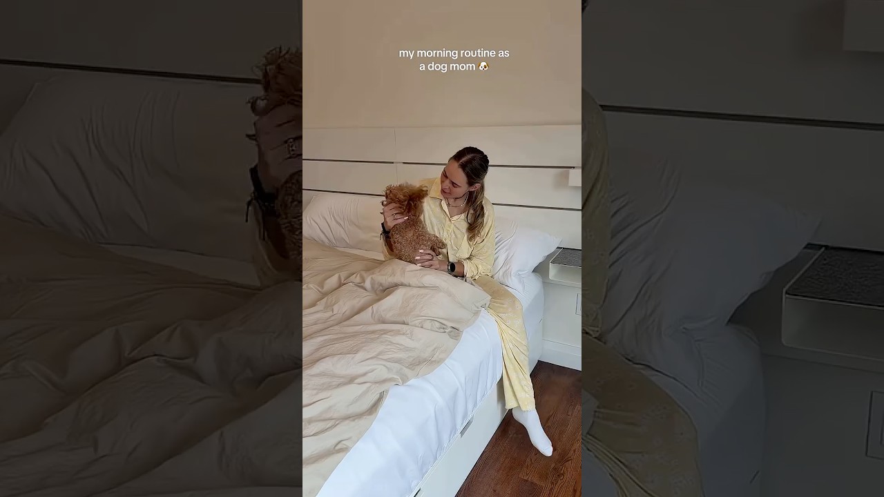 Original Title & Thumbnail