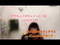 なみだ涙のカフェテラス/ジューシーフルーツ【cover】ちょこっと1曲♪2023.4.14