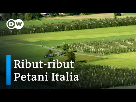Pestisida Biang Konflik Pertanian Konvensional versus Organik di Italia