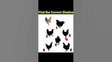 Shadow Paheli 4 - Find the Correct Shadow |  Puzzles and Riddles | Hindi Paheliyan #shorts
