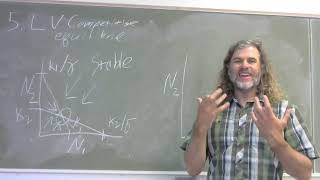 6 - Lotka - Voltera equilibrium in competition models