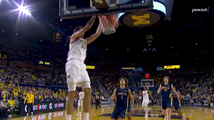 Aday Mara ALLEY-OOP vs. La Salle | Michigan Basketball