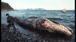 Water Pollution PSA
