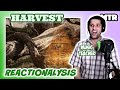 Nightwish - Harvest (Reactionalysis) - Music Teacher Reacts