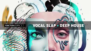 Video thumbnail of "Function Loops - Vocal Slap + Deep House"