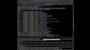 Fix Blank or white page on wordpress using wp_debug or debug.log via wp-config.php