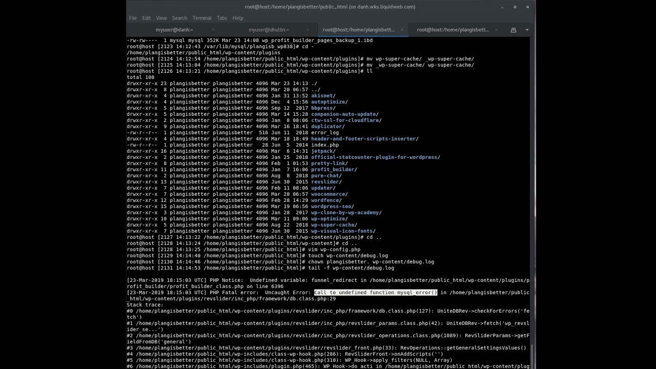 Fix Blank or white page on wordpress using wp_debug or debug.log via wp ...