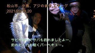 愛媛 松山市 エギング 中島 泳がせ釣り のませ釣り 堤防 Youtube