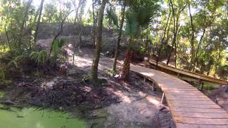 Alafia River State Park Mountain Bike Trails