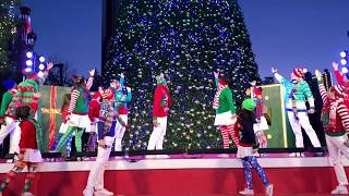 Carowinds WinterFest Tree Lighting Ceremony 2019