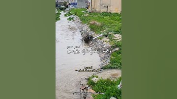 سورة العصر|الشيخ ماهر المعيقلي مقام الكرد|وادي ايدون اربد الاردن|حالات واتس|قران كريم|#سيول