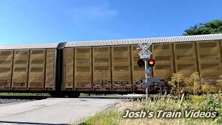 CN Auto Rack / Intermodal Train with NS Power