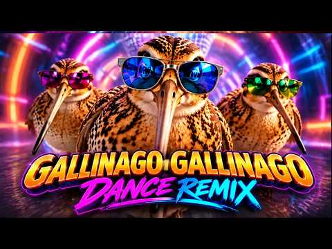 GALLINAGO GALLINAGO 🐦 | This Bird Goes HARD 🔥 J.Devis & Jorge Walking