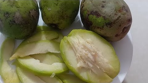 LỢI ÍCH CỦA QUẢ CÓC ĐỐI VỚI SỨC KHỎE