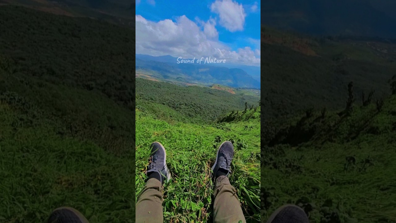 Run to Relax: Savor Nature’s Peaceful Melody | Srilanka | travelfreaker12 