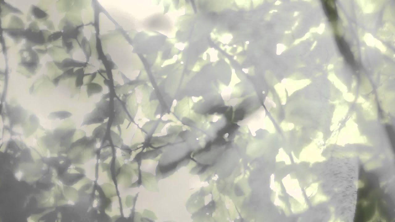 Watch Biker Boy - On the Shoreline (Official video) on YouTube Watch Biker Boy - On the Shoreline (Official video) on YouTube