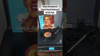Neşe Karaböcek - Nasıl Geçti Habersiz - 45Lik Plak Kayıt Resimi