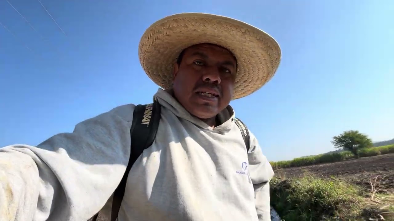 Esta es la primer fumigada para la caña de azúcar