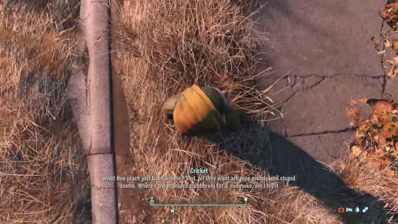 [No Commentary] Cricket returns to her roots