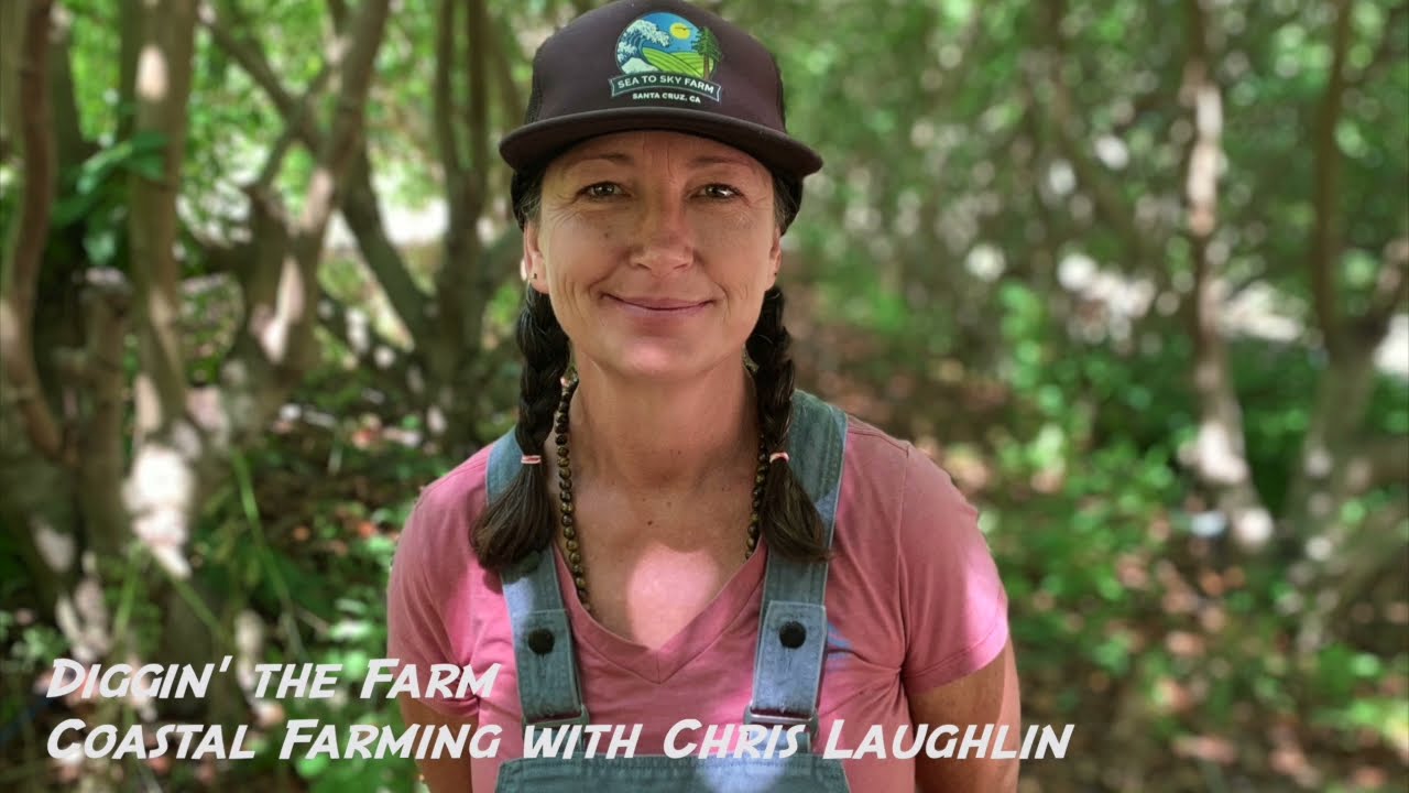 Diggin' the Farm: Coastal Farming with Chris Laughlin