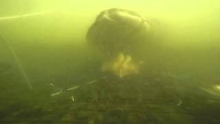 Crabbing The Navesink River With The Gopro 4  New Jersey Style