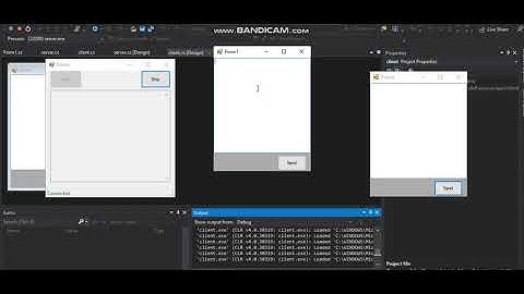 UDP Connection - Windows Form Application