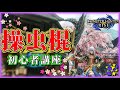 【モンハンライズ】操虫棍始めませんか?操虫棍初心者講座!【エキスのお悩み解決します!】