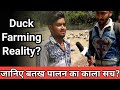 Duck Farming का काला सच पूरी Reality दिखाई गयी है इस वीडियो मे |+91 87098 23989