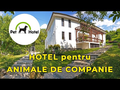 Video: Cum Se Alege Un Hotel Pentru Un Animal De Companie