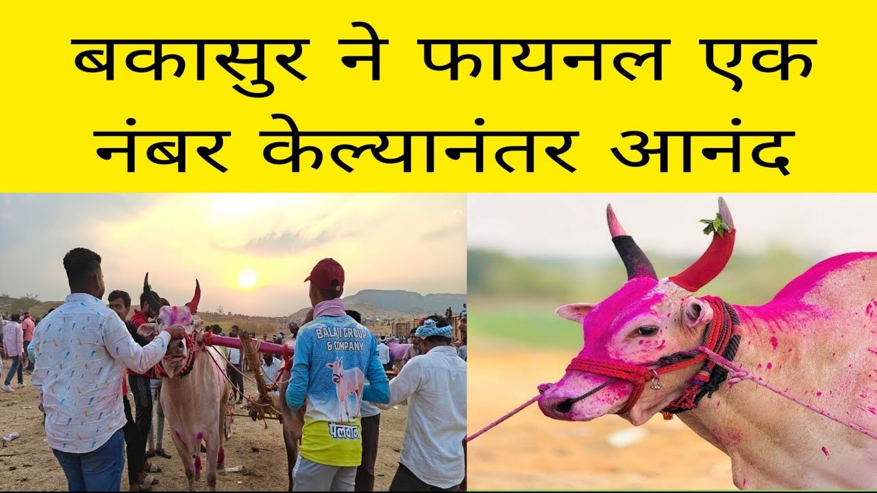 काल लिंब येथे झालेल्या मैदानात बकासुर आणि बादल यांनी सेमी व फायनल जिंकल्यानंतर प्रेक्षकांना आनंद.