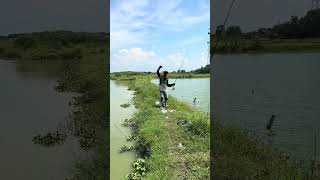 Casting Gabus Point Ikan Campuran #shorts