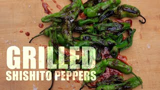 Grilled Shishito Peppers