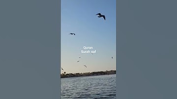 surah qaf 16-21, سورة ق،تلاوت القرآن الكريم، dubai islamic channel