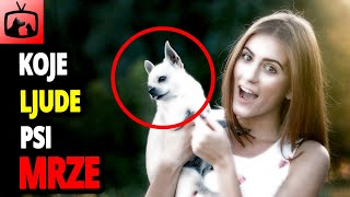 🐕 Koje Ljude Psi Mrze? TOP 10 Stvari Koje Psi Najviše Mrze Kod Ljudi! 🐕 Koje Ljude Psi Mrze? TOP 10 Stvari Koje Psi Najviše Mrze Kod Ljudi!