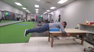Reverse Hyper For Low Back Strength