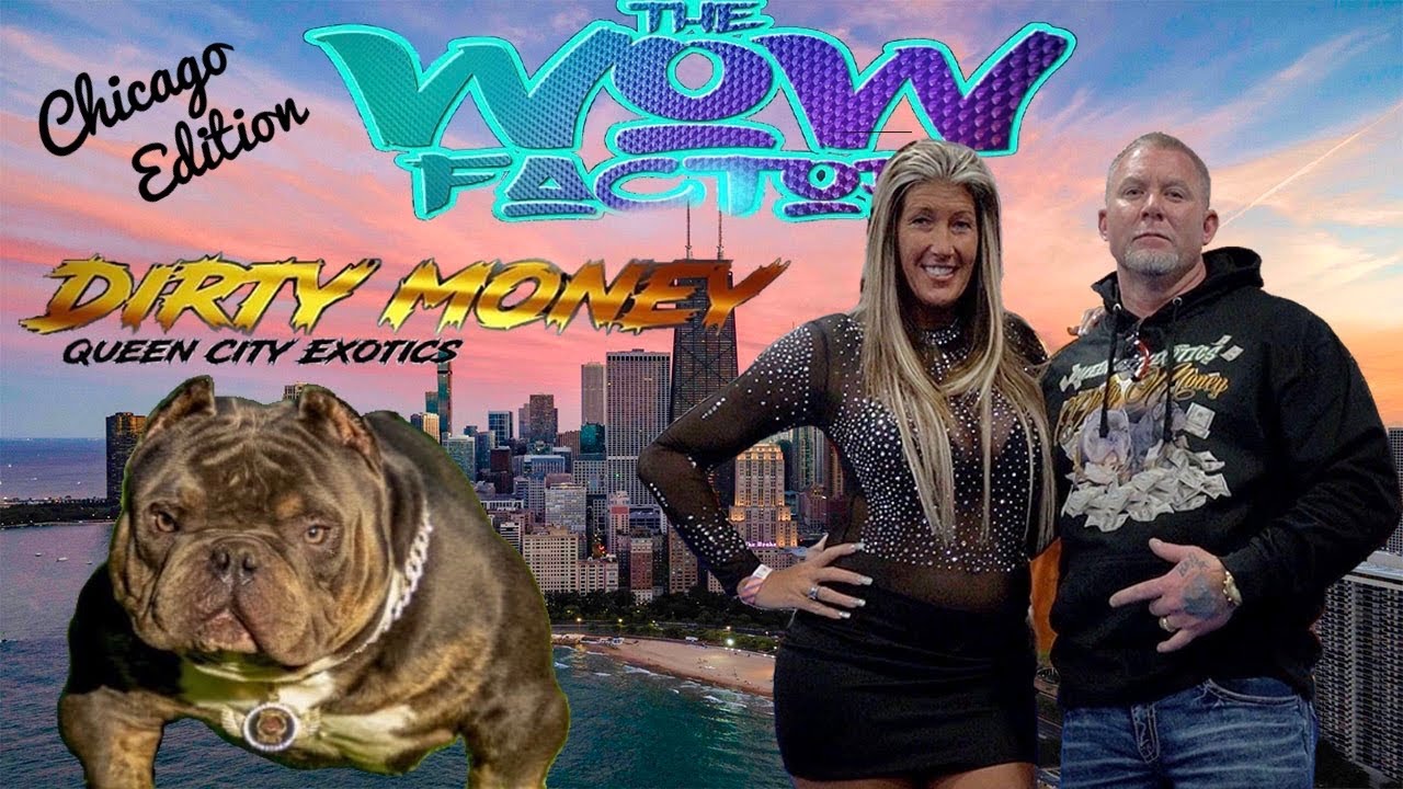 Queen City Exotics - Wow Factor Chicago Edition 2021 - AGBtv - YouTube