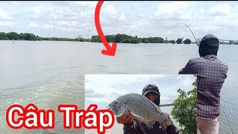 Câu Đêm với Cần Thủ Nữ || Câu Tráp Đầu Mùa Đùng Mỹ Xuân Bà Rịa || Đam mê câu Cá