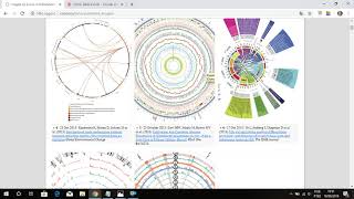 Gráfico de Circos Plot em 5 minutos!