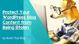 Protect Your WordPress Blog Content from Being Stolen and Copied