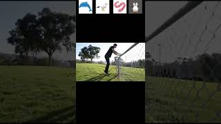 Why Animals Can Jump Over Any Fence Easily