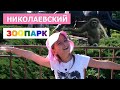 Николаевский зоопарк 2019! Обезьяны, тигры, львы, белые медведи, сурикаты и другие пушистики.