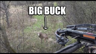 Kid Shoots BIG BUCK with crossbow! (no track job needed) screenshot 4