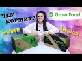 БОЛЬШАЯ ПРОВЕРКА Grow Food / ДИЕТА И НАБОР МАССЫ / ОТЗЫВ Гроу Фуд