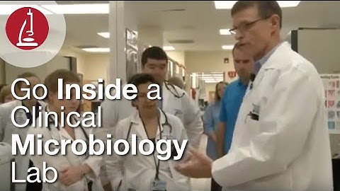 Go Inside a Clinical Microbiology Lab