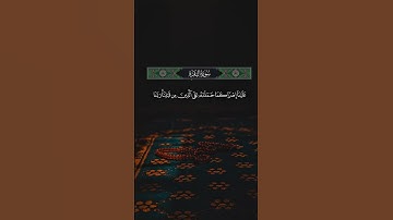 #الشيخ_ماهر_المعيقلي #رحلة_إيمانية #تلاوة_مؤثرة #سورة_البقرة #لايكلف_الله_